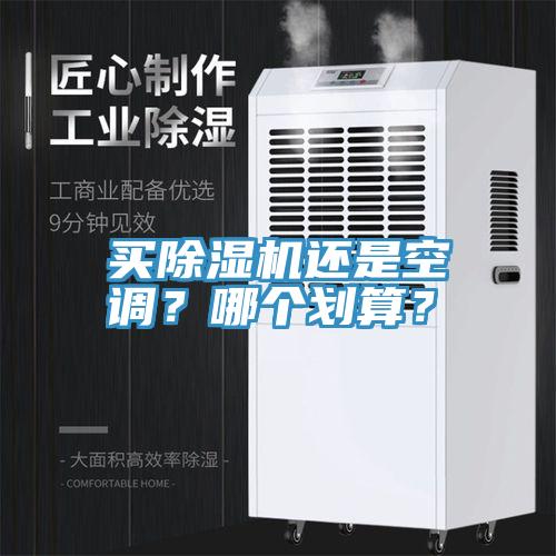 買除濕機(jī)還是空調(diào)？哪個(gè)劃算？