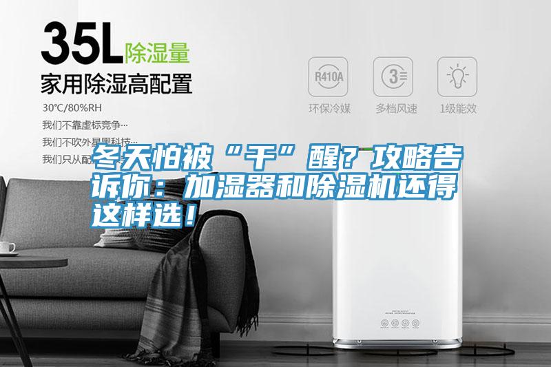 冬天怕被“干”醒？攻略告訴你：加濕器和除濕機還得這樣選！