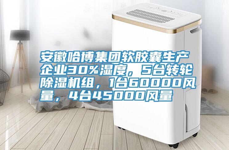 安徽哈博集團軟膠囊生產企業(yè)30%濕度，5臺轉輪除濕機組，1臺60000風量，4臺45000風量