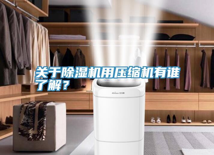 關于除濕機用壓縮機有誰了解？