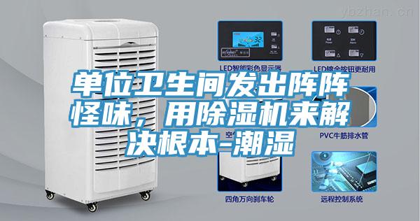 單位衛(wèi)生間發(fā)出陣陣怪味，用除濕機(jī)來(lái)解決根本-潮濕