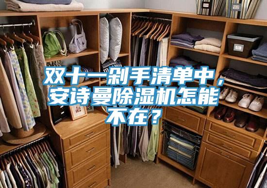 雙十一剁手清單中，安詩(shī)曼除濕機(jī)怎能不在？