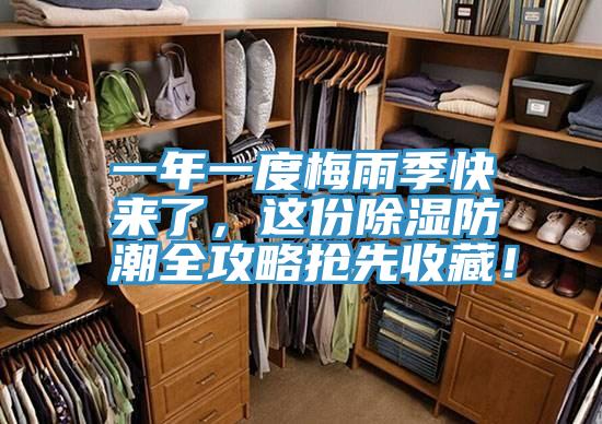 一年一度梅雨季快來了，這份除濕防潮全攻略搶先收藏！