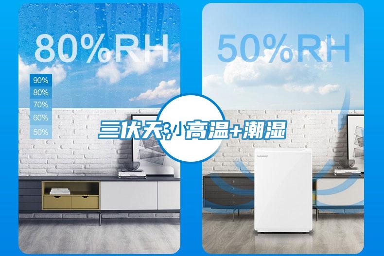 三伏天，高溫+潮濕