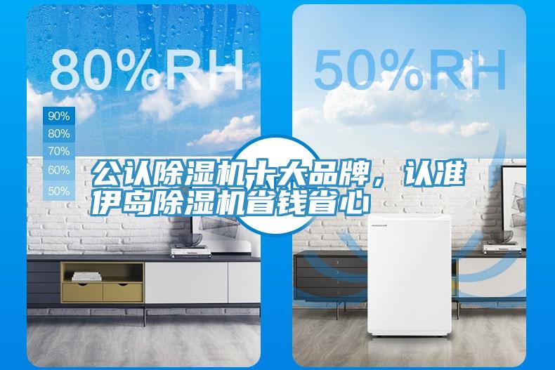 公認(rèn)除濕機(jī)十大品牌，認(rèn)準(zhǔn)伊島除濕機(jī)省錢(qián)省心