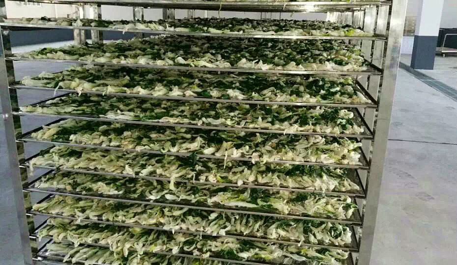 菜干需求一直都很大，蔬菜烘干機(jī)很有市場(chǎng)