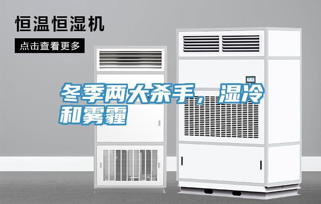 冬季兩大殺手，濕冷和霧霾