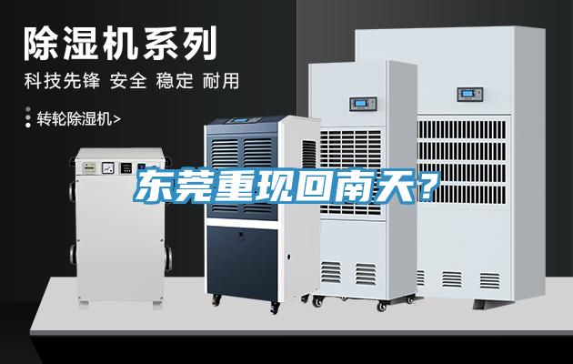 東莞重現(xiàn)回南天？
