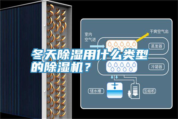 冬天除濕用什么類型的除濕機？