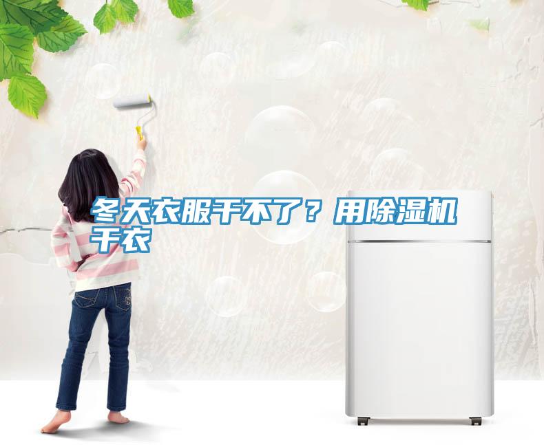 冬天衣服干不了？用除濕機干衣