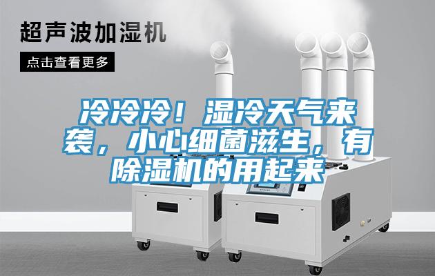 冷冷冷！濕冷天氣來襲，小心細菌滋生，有除濕機的用起來