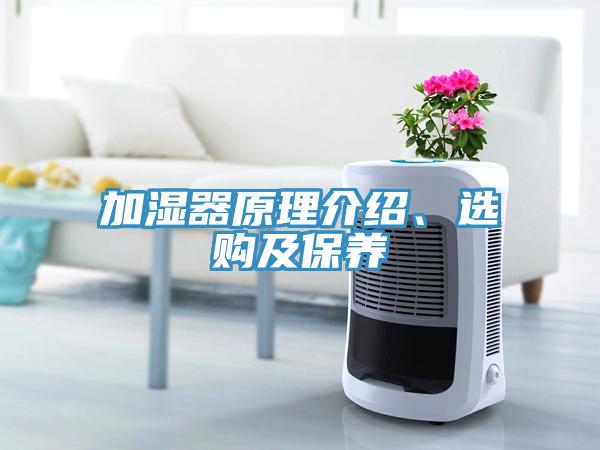 加濕器原理介紹、選購及保養(yǎng)