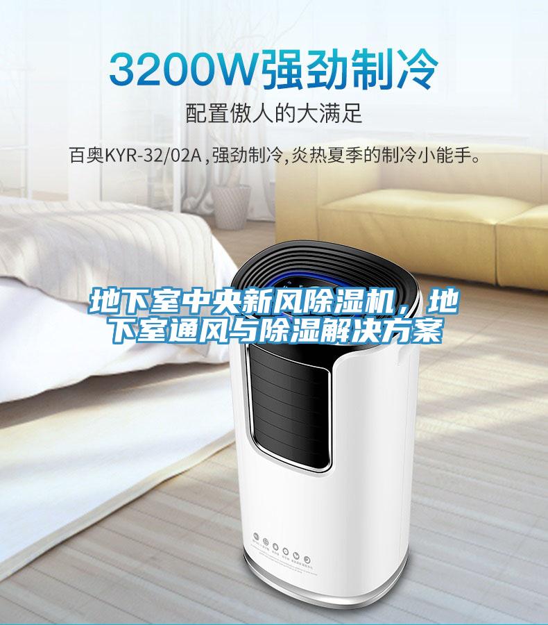 地下室中央新風(fēng)除濕機(jī)，地下室通風(fēng)與除濕解決方案