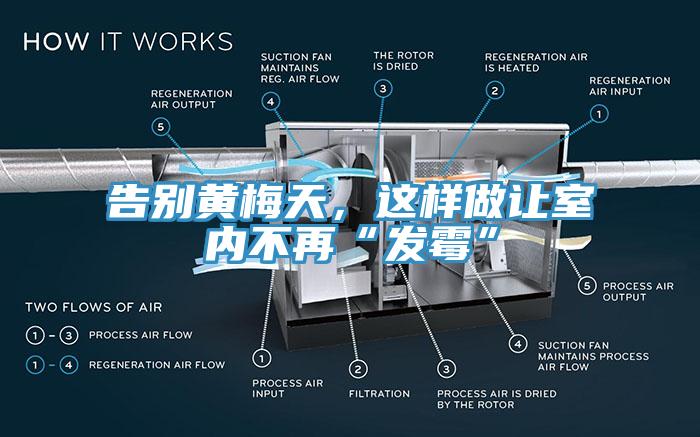 告別黃梅天，這樣做讓室內(nèi)不再“發(fā)霉”