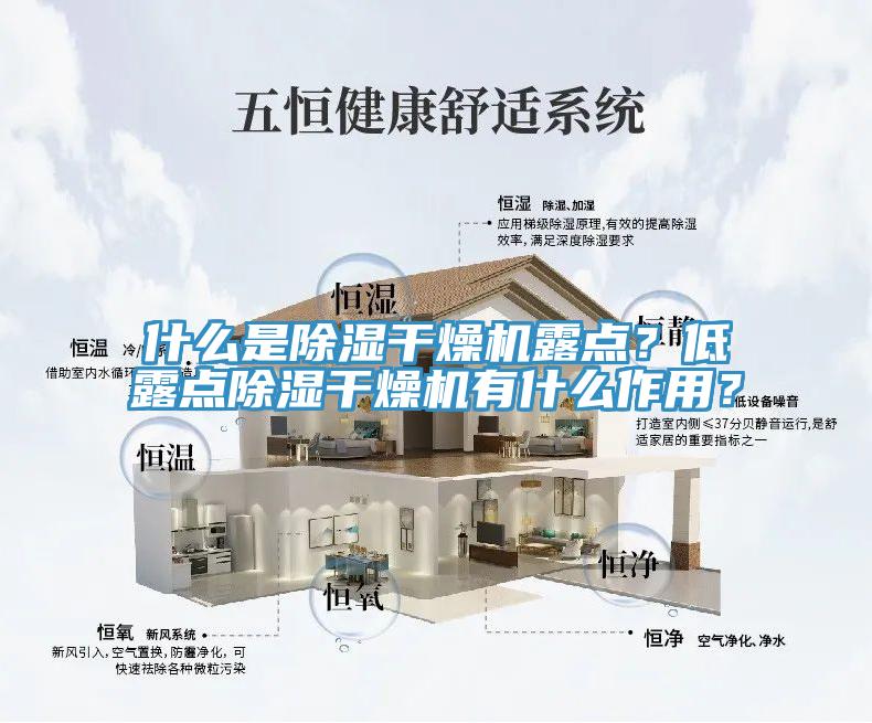 什么是除濕干燥機露點？低露點除濕干燥機有什么作用？
