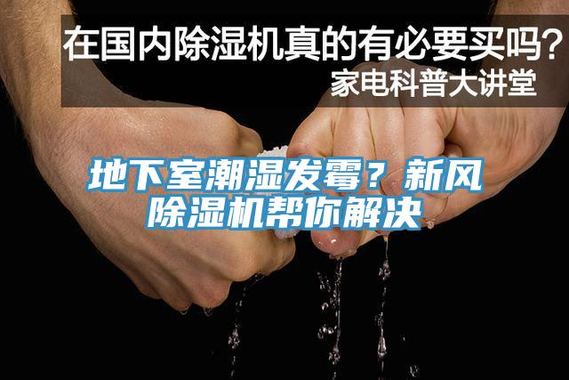 地下室潮濕發(fā)霉？新風除濕機幫你解決
