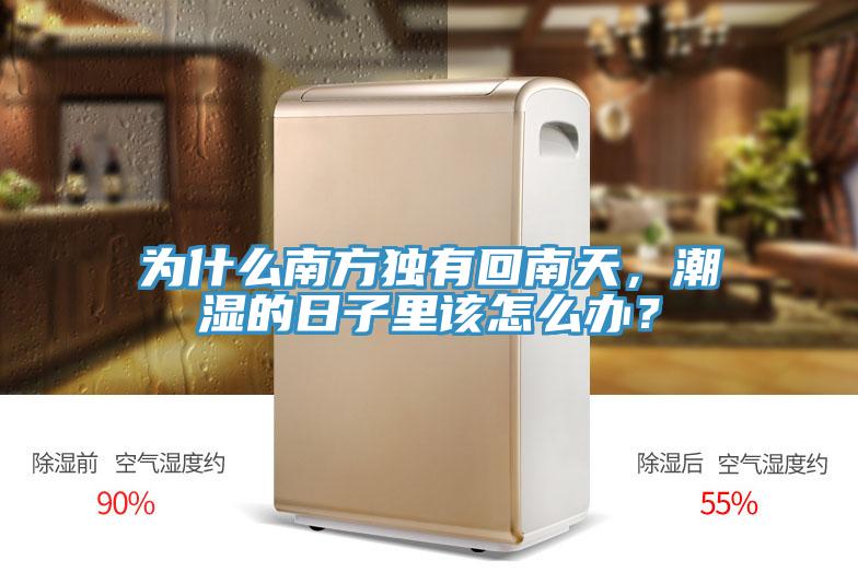 為什么南方獨(dú)有回南天，潮濕的日子里該怎么辦？