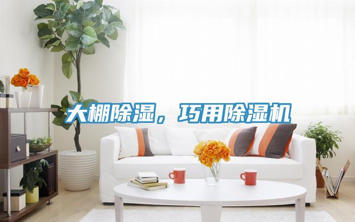 大棚除濕，巧用除濕機(jī)
