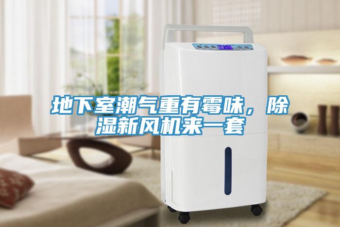 地下室潮氣重有霉味，除濕新風機來一套