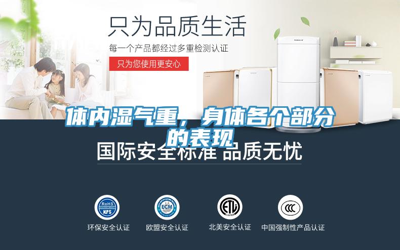 體內(nèi)濕氣重，身體各個(gè)部分的表現(xiàn)