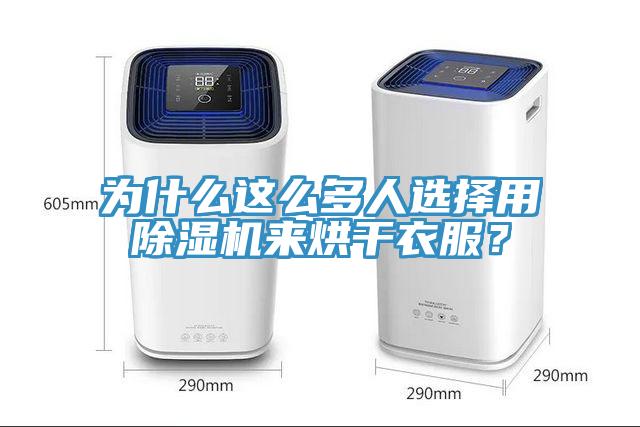 為什么這么多人選擇用除濕機來烘干衣服？