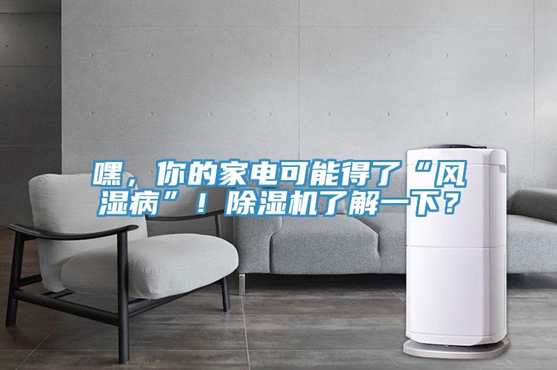 嘿，你的家電可能得了“風(fēng)濕病”！除濕機了解一下？