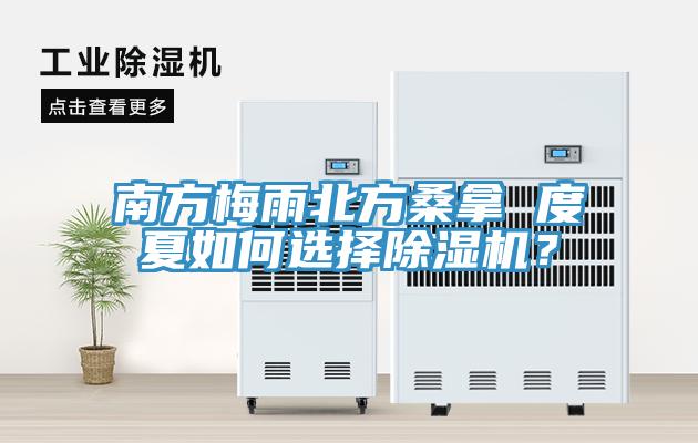 南方梅雨北方桑拿 度夏如何選擇除濕機？