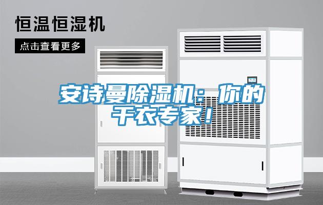 安詩(shī)曼除濕機(jī)：你的干衣專(zhuān)家！