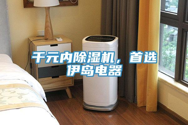 千元內(nèi)除濕機，首選伊島電器