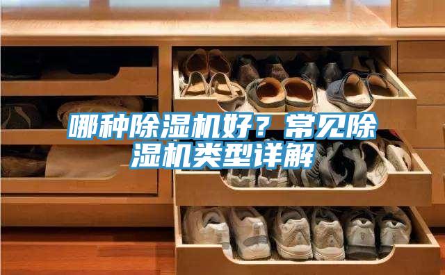 哪種除濕機好？常見除濕機類型詳解
