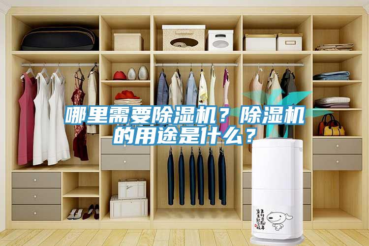 哪里需要除濕機(jī)？除濕機(jī)的用途是什么？