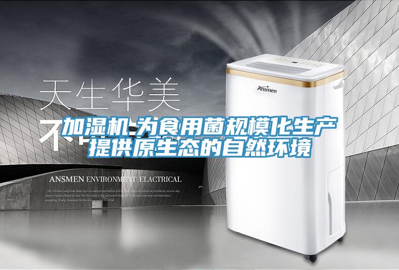 加濕機(jī)　為食用菌規(guī)?；a(chǎn)提供原生態(tài)的自然環(huán)境