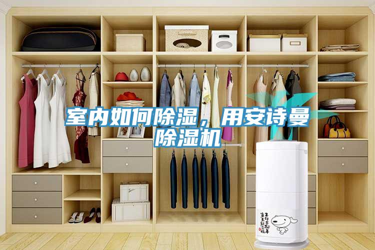 室內(nèi)如何除濕，用安詩(shī)曼除濕機(jī)