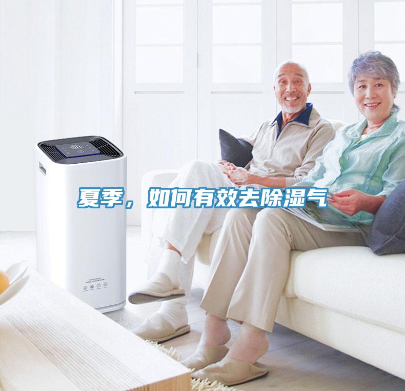 夏季，如何有效去除濕氣