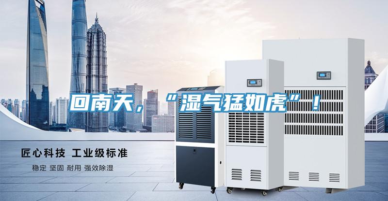 回南天，“濕氣猛如虎”！
