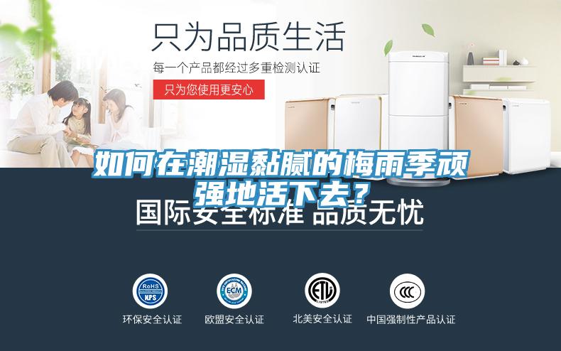 如何在潮濕黏膩的梅雨季頑強(qiáng)地活下去？