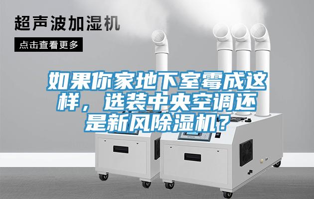 如果你家地下室霉成這樣，選裝中央空調(diào)還是新風除濕機？