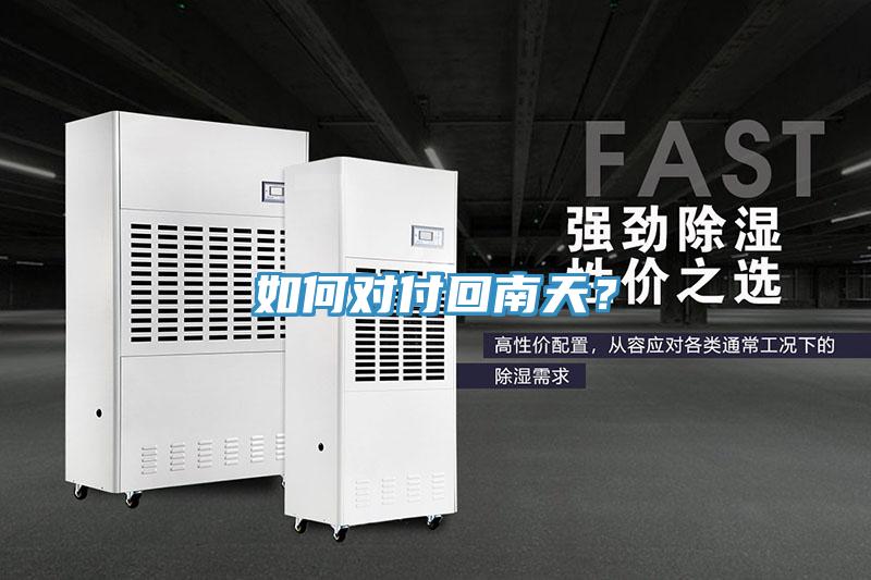 如何對付回南天？
