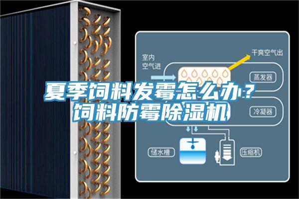 夏季飼料發(fā)霉怎么辦？飼料防霉除濕機