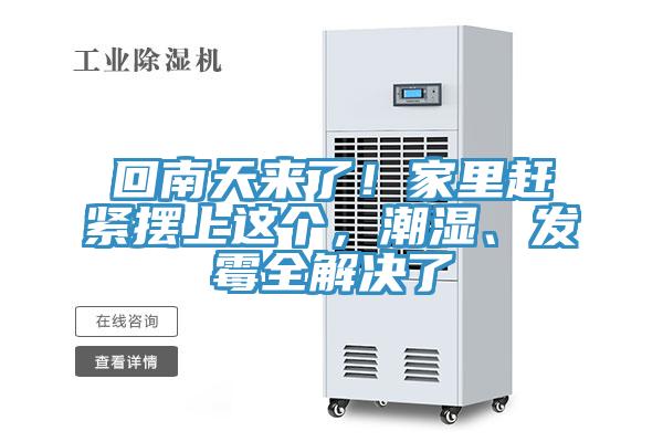 回南天來(lái)了！家里趕緊擺上這個(gè)，潮濕、發(fā)霉全解決了