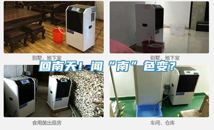 回南天！聞“南”色變？