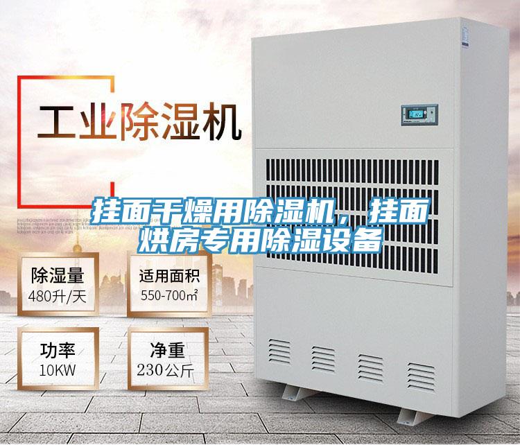 掛面干燥用除濕機(jī)，掛面烘房專用除濕設(shè)備