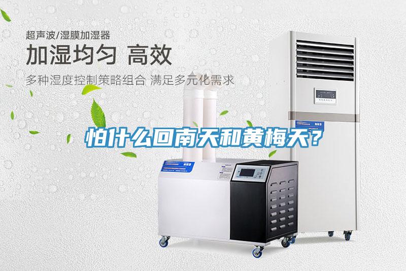 怕什么回南天和黃梅天？