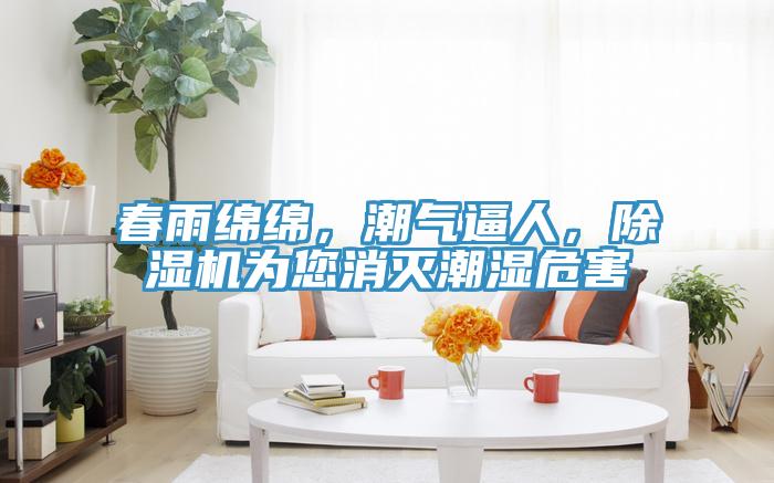 春雨綿綿，潮氣逼人，除濕機為您消滅潮濕危害