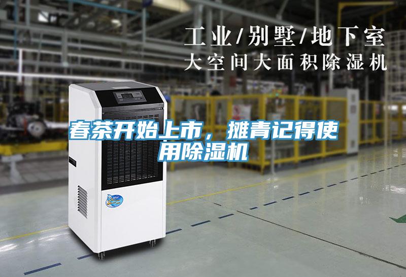 春茶開始上市，攤青記得使用除濕機