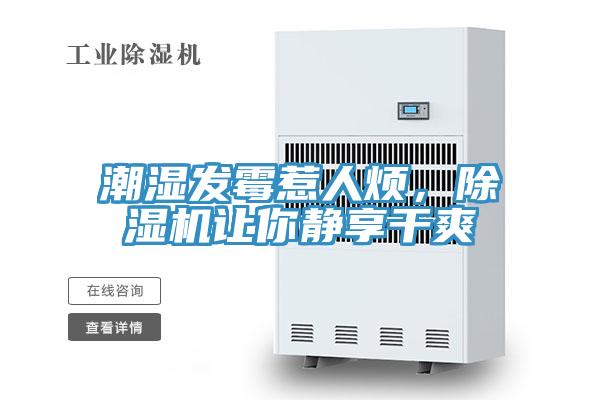 潮濕發(fā)霉惹人煩，除濕機(jī)讓你靜享干爽