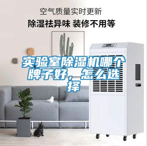 實(shí)驗(yàn)室除濕機(jī)哪個(gè)牌子好，怎么選擇
