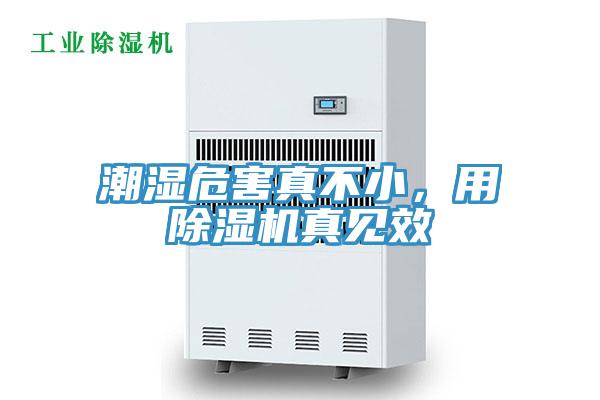 潮濕危害真不小，用除濕機真見效