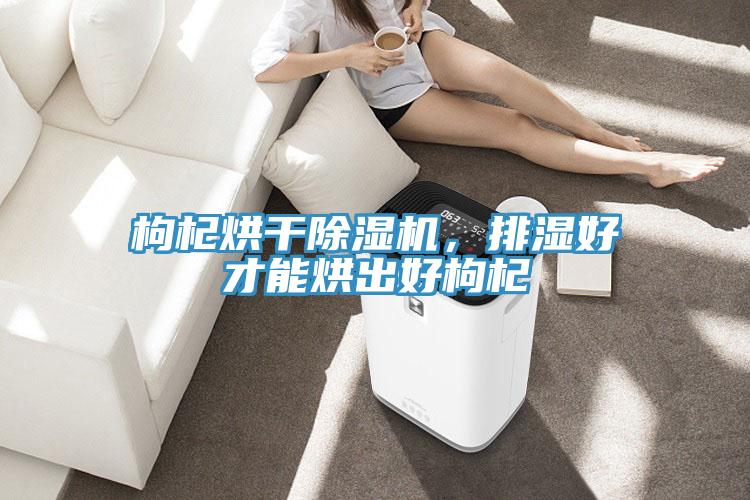 枸杞烘干除濕機，排濕好才能烘出好枸杞