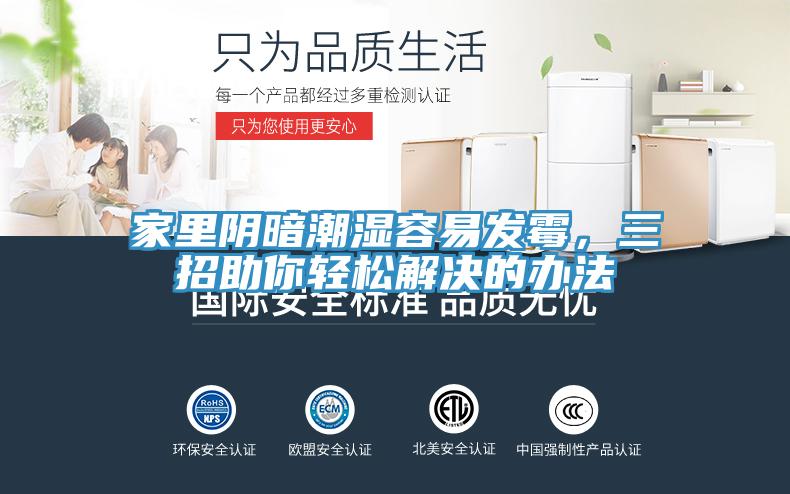 家里陰暗潮濕容易發(fā)霉，三招助你輕松解決的辦法